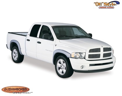 Bushwacker OE Style Fender Flare Kit 02-05 Dodge Ram Pickup - Click Image to Close